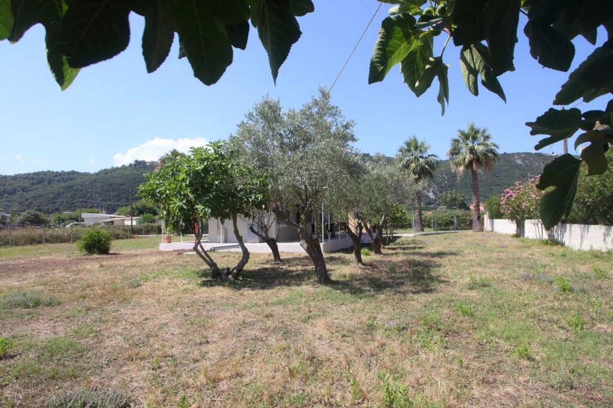 Olga Home Agios Ioannis Lefkada - Lefkada Bnb Buitenkant foto
